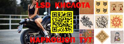 метамфетамин Гатчина
