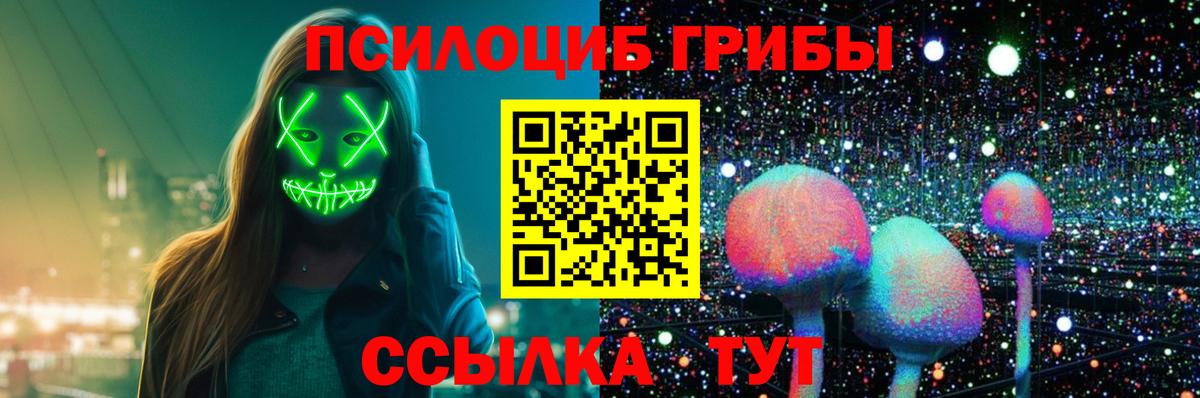 Кизляр  Галлюциногенные грибы мицелий  Вход с VPN 
