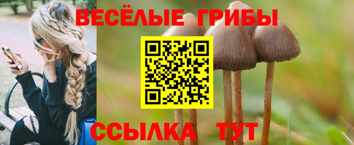 Псилоцибиновые грибы Magic Shrooms  Кизляр 